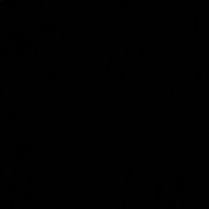 Meet your Posher, Jerry